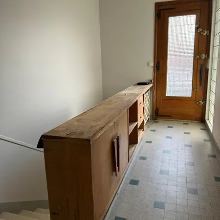 Maison Ancienne 163 Avenue Francois Verdier 公寓 阿尔比