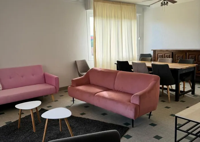 Maison Ancienne 163 Avenue Francois Verdier * Albi